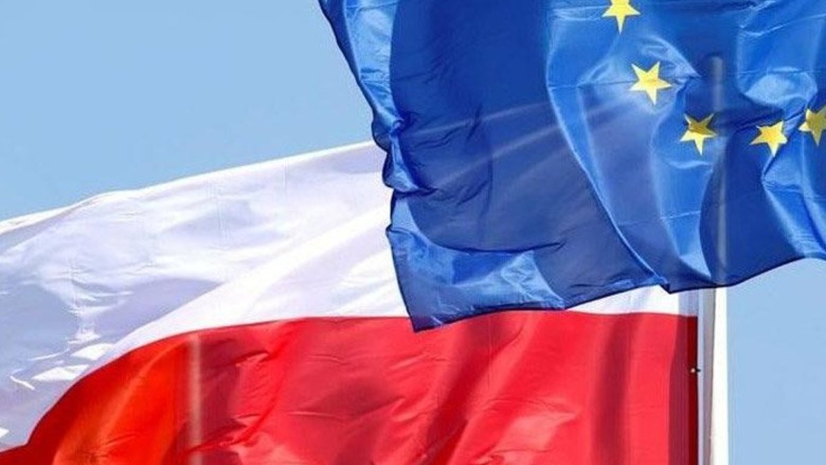Polonya Merkez Bankası Başkanı: Euroya geçmek son derece zararlı olur