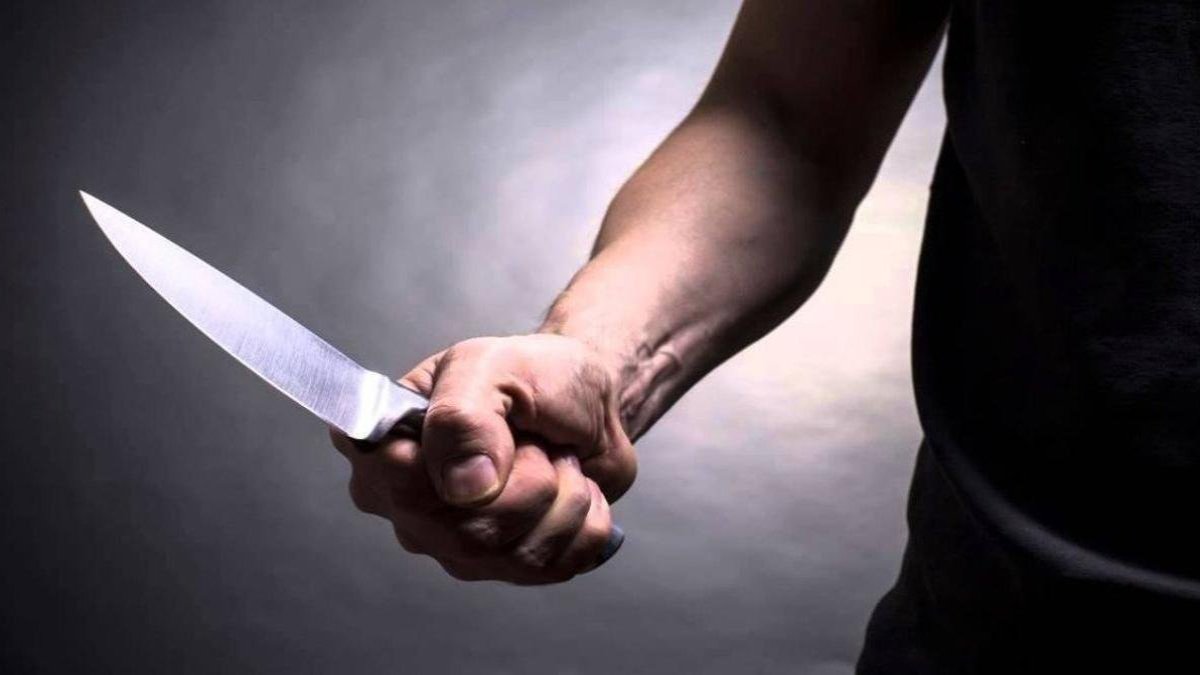 Macaristan'da polislere bıçaklı saldırı