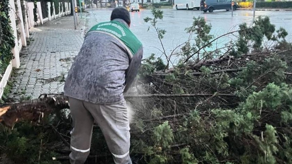 Antalya'yı fırtına vurdu, ağaçlar devrildi, sel bastı
