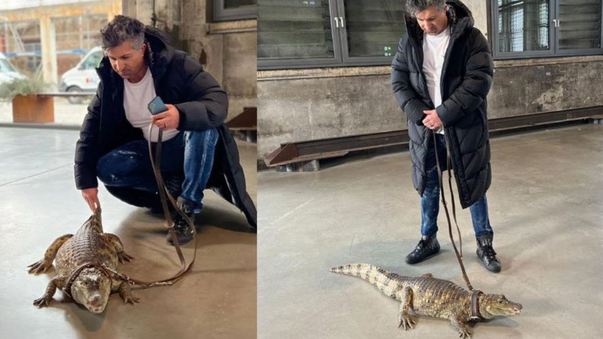 Amerikalik ota jinsiy aloqa onlayn Ajoyib busty porno yulduz ofisida becerdin oladi