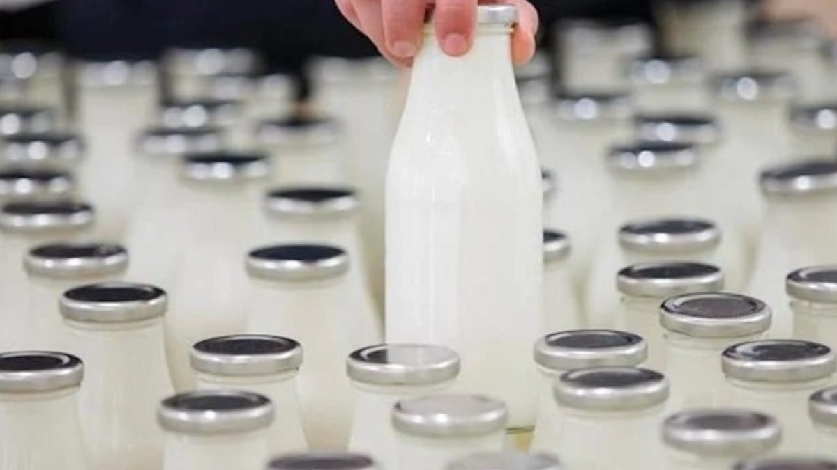 Süt ve peynir üretimi 2022'de azaldı