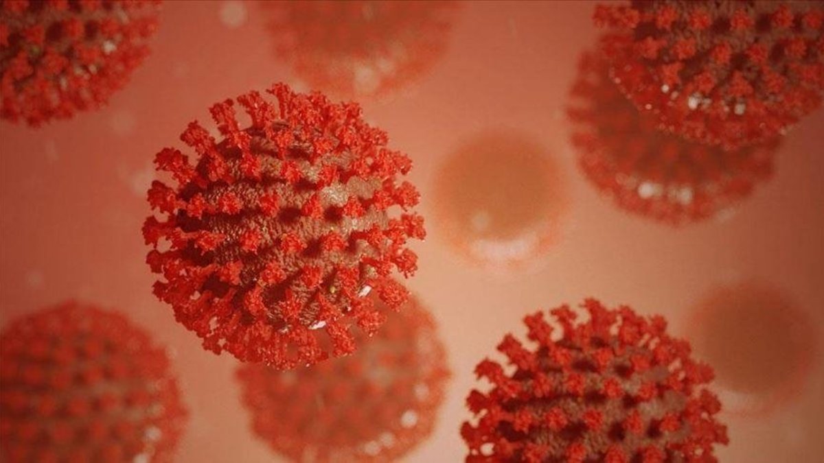 Marburg virüsü, 2 kişinin daha ölümüne neden oldu