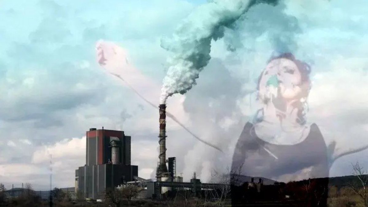 “Kazdağları’nda kömüre son ver, termik santralleri kapat”