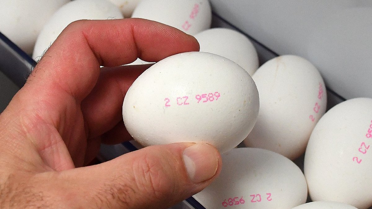 Mikrobiyoloji uzmanından yumurta uyarısı