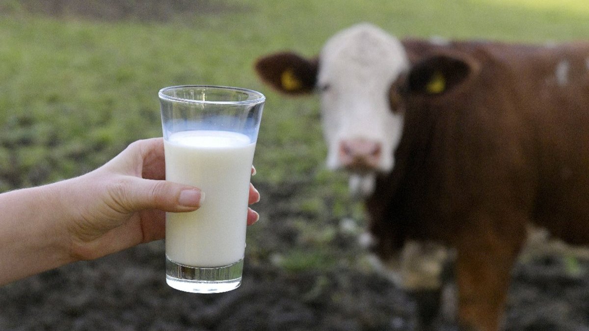 Süt üretiminin devamlılığı için 'tedbir ve destek' uyarısı