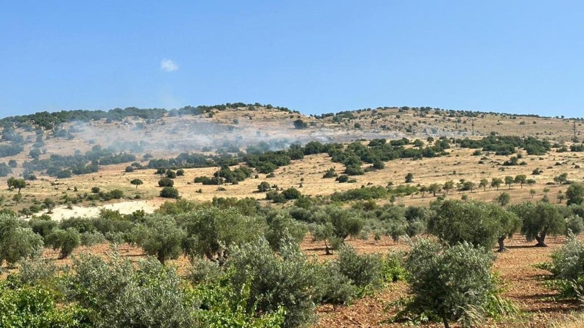 Kilis'te orman yangını