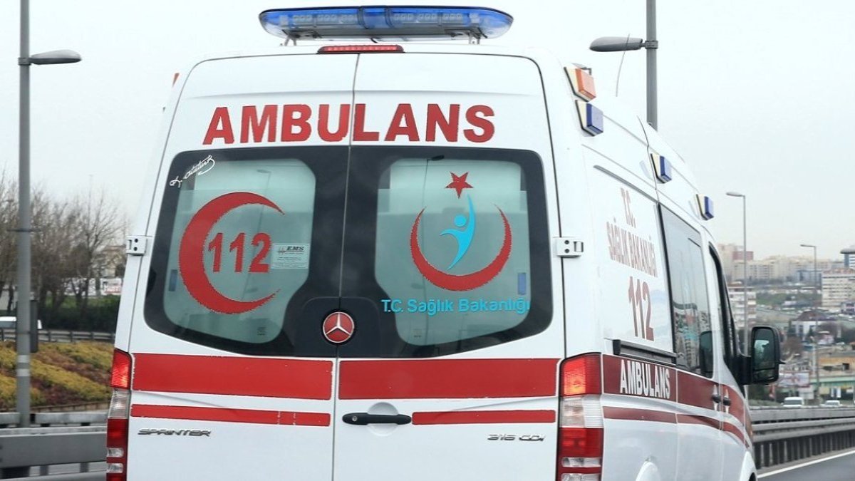 Tokat'ta ayının saldırdığı çocuk yaralandı