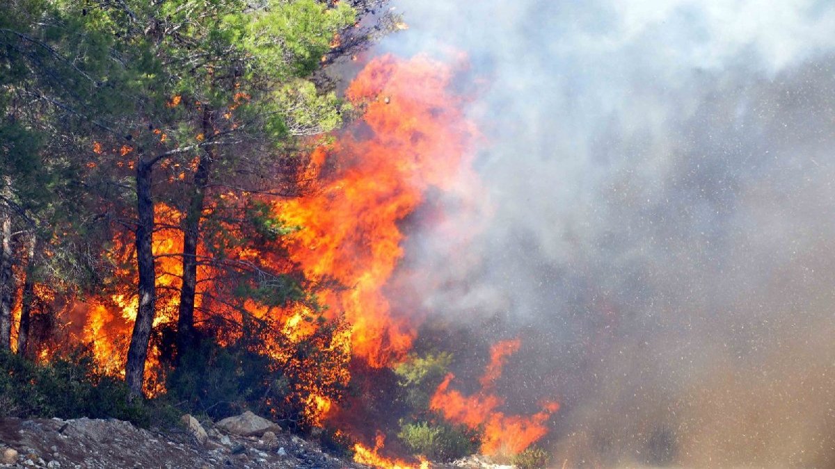 CHP'li belediyelere orman yangını riskine karşı "tedbir" talimatı
