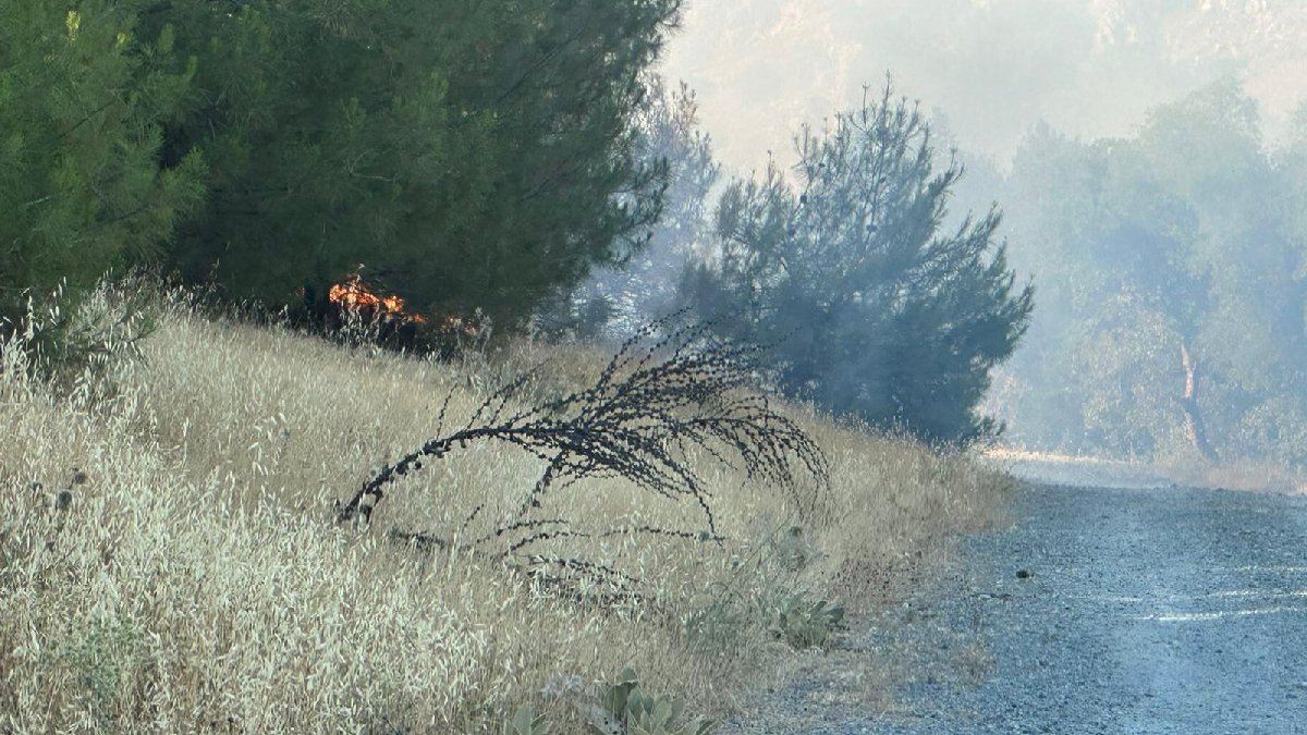 Kilis'te ormanlık alanda çıkan yangın kontrol altına alındı