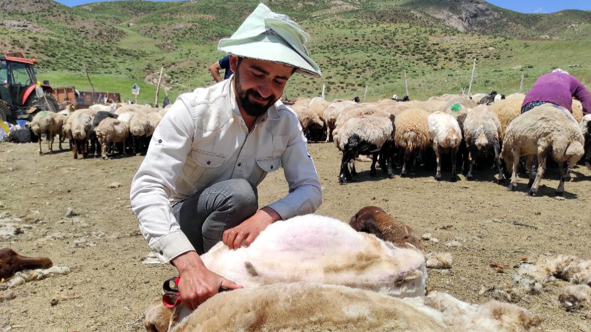 Anadolu'da Afganlardan sonra İranlı çoban dönemi