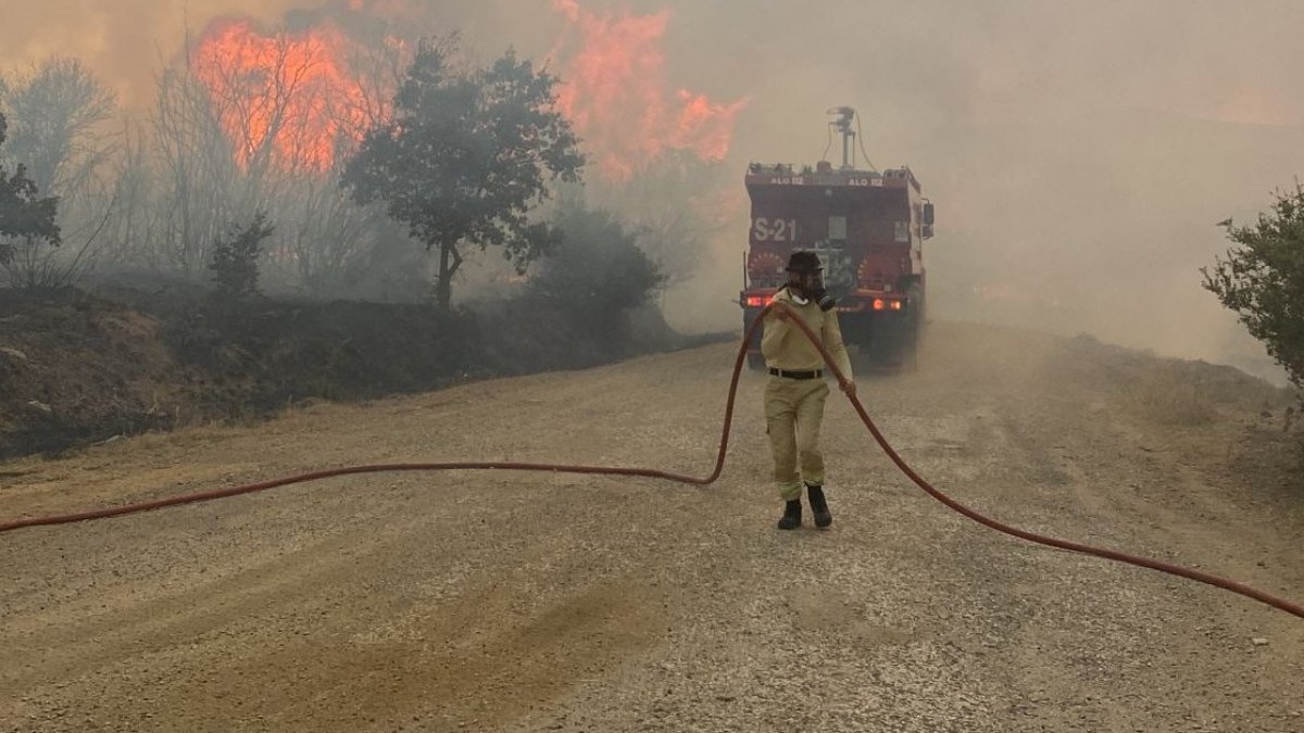 Çanakkale'de orman yangını