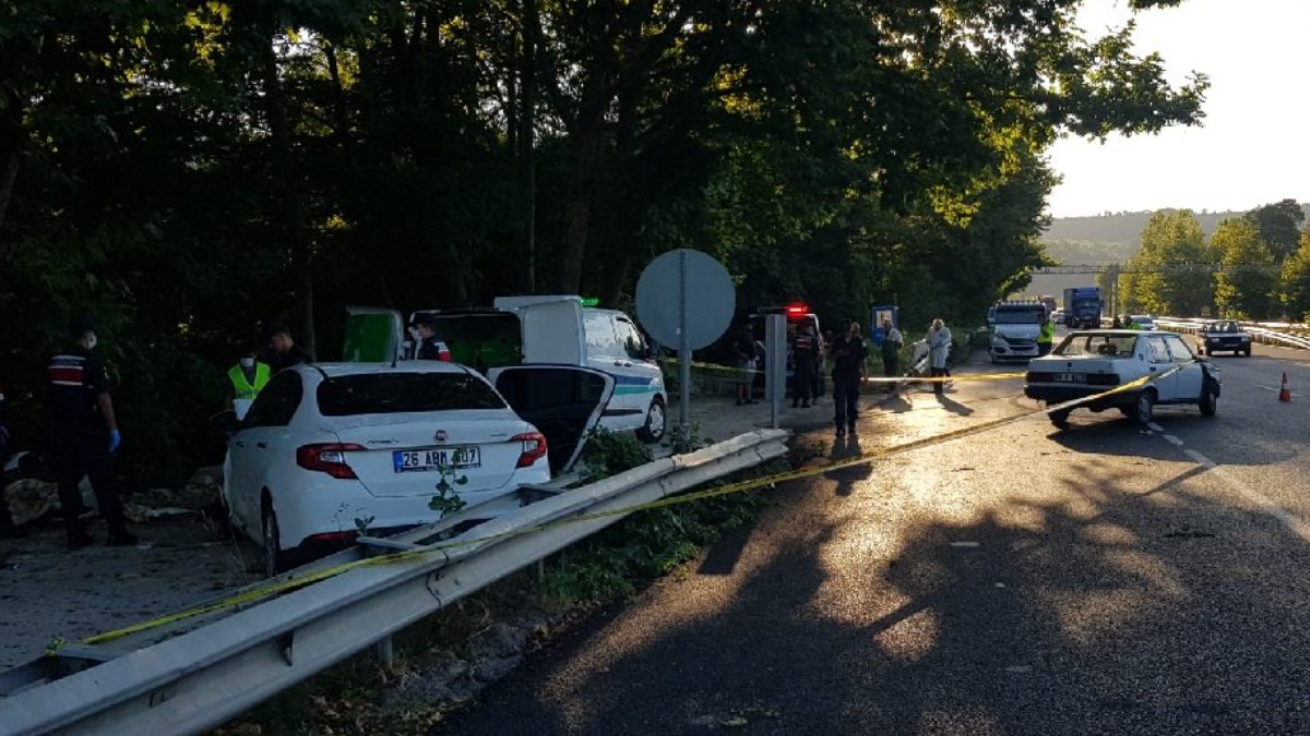 Yol kenarında piknik yapanlar dehşeti yaşadı