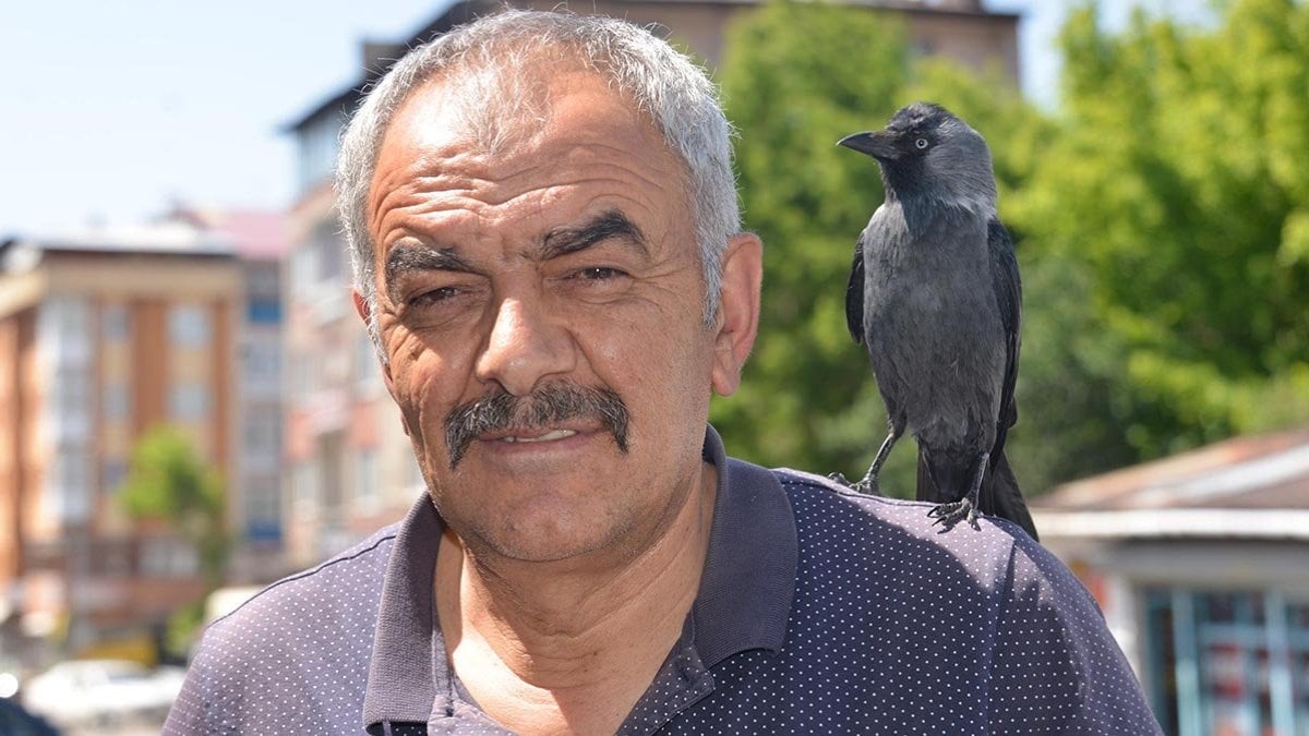 Kurtardığı karga dostu oldu