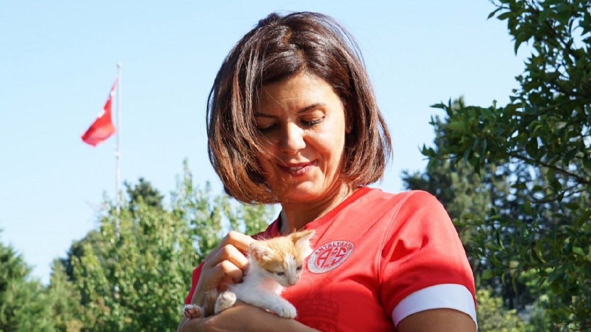 Antalyaspor, kırmızı formasını sokak hayvanlarına adadı
