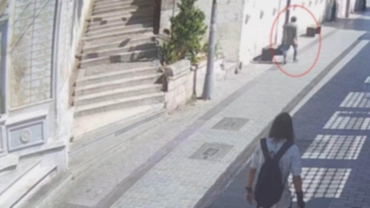 İstanbul'da kedilerin üzerine asit döken şüpheli tutuklandı