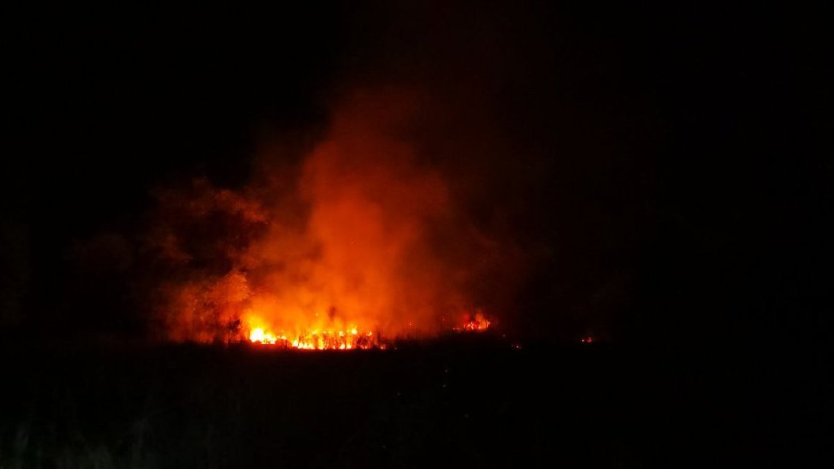 Çorum'da 2 bine yakın ağaç zarar gördü