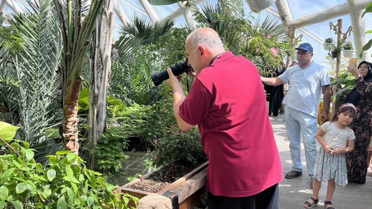 Tropikal Kelebek Bahçesi temmuzda ziyaretçi rekoru kırdı