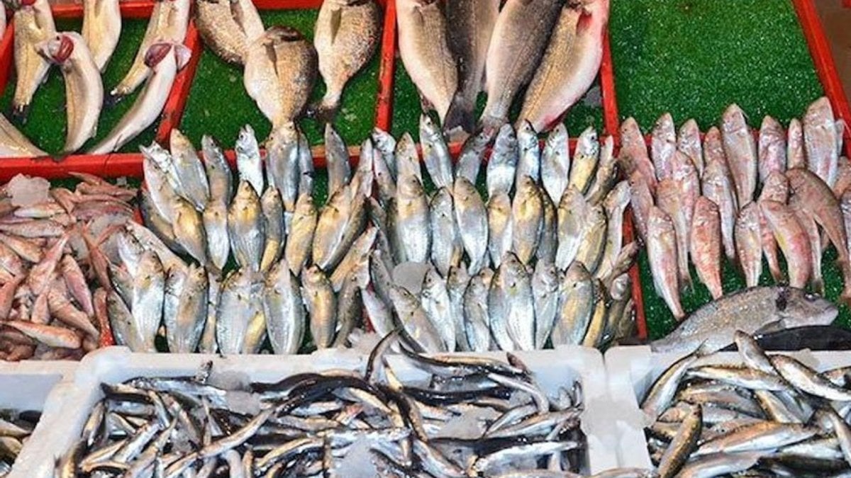 Levrek ve lüfer yüzde 200 zamlı