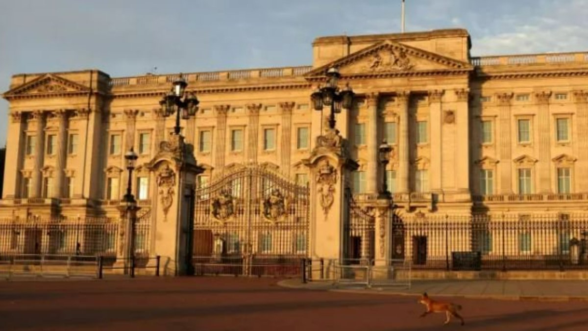 Tutuklandı: Buckingham Sarayı yakınındaki binaya izinsiz giriş