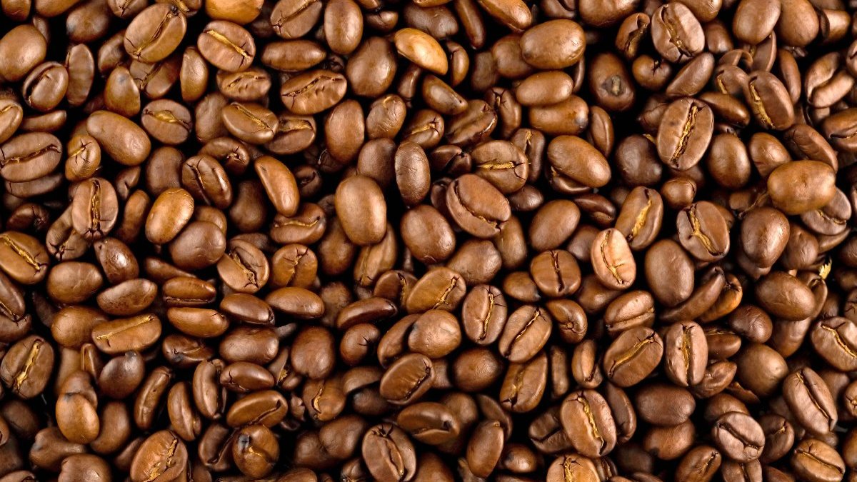 Kahve üretiminde tehlike: Fiyat artışı bekleniyor