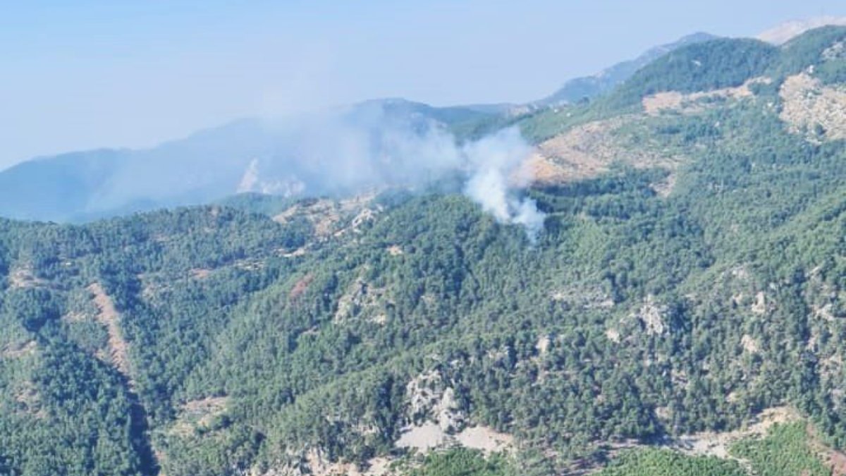 Muğla ve Aydın'da orman yangını