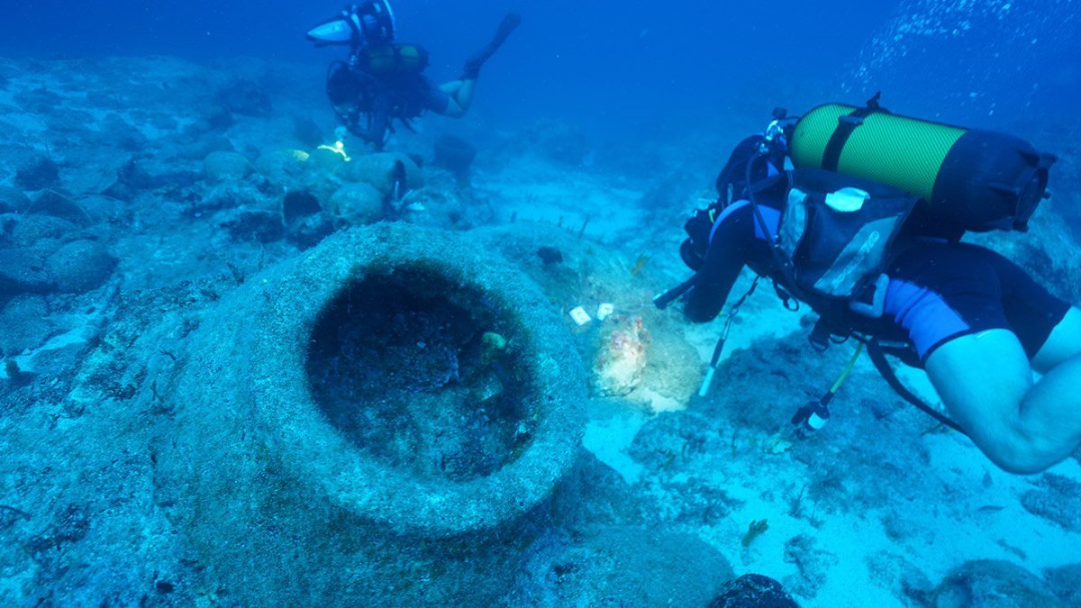 Antalya-Mersin kıyılarında bulundu... Sayı 350'ye ulaştı