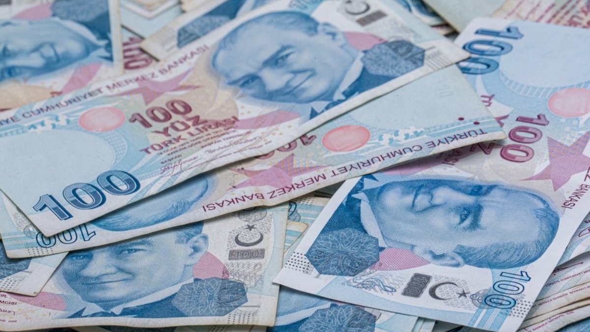 Hazine 1,8 milyar lira borçlandı