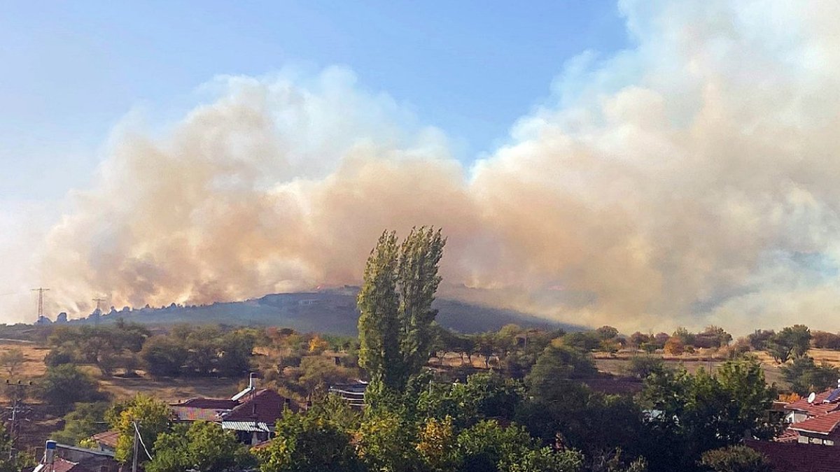 Eskişehir'de orman yangını