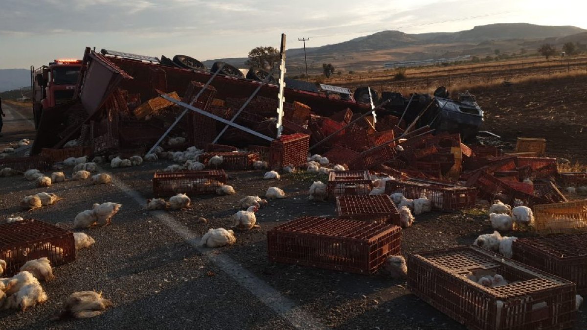 TIR alev aldı, çok sayıda tavuk öldü