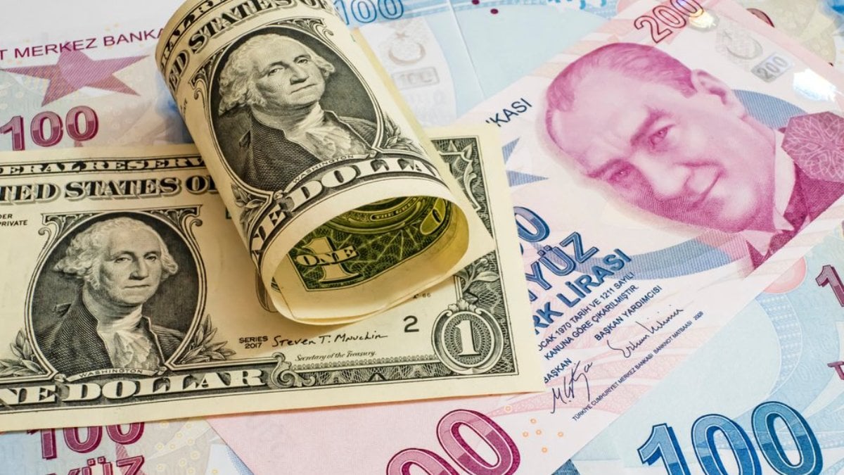 Dolar/TL'de yeni zirve