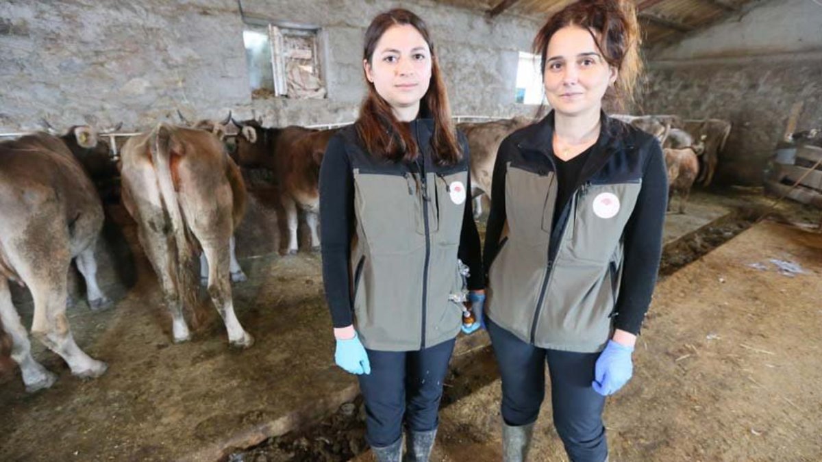 Kadın veterinerler, köy köy dolaşıp hastalıklarla mücadele ediyor