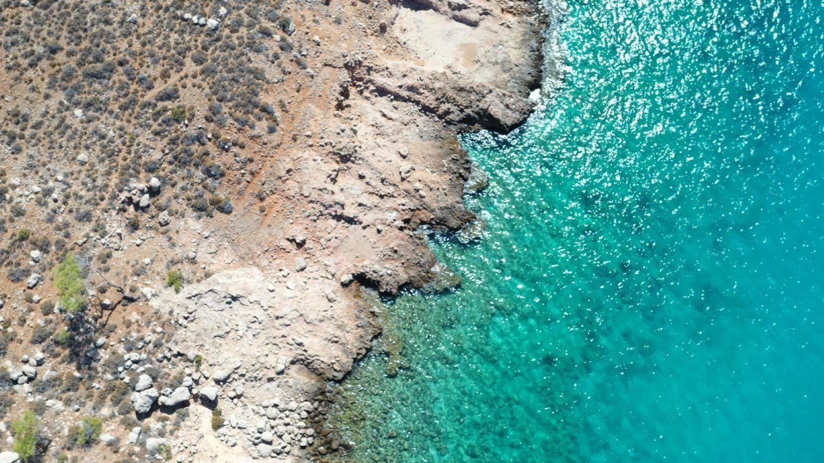 Mersin'deki Dana Adası'nda bulundu: 'Dengeleri değiştirecek kadar önemli'