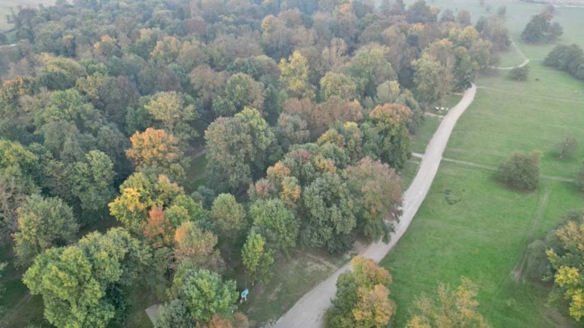 Gölyaka Kültür Parkı'nda sis ve sonbahar renkleri buluştu