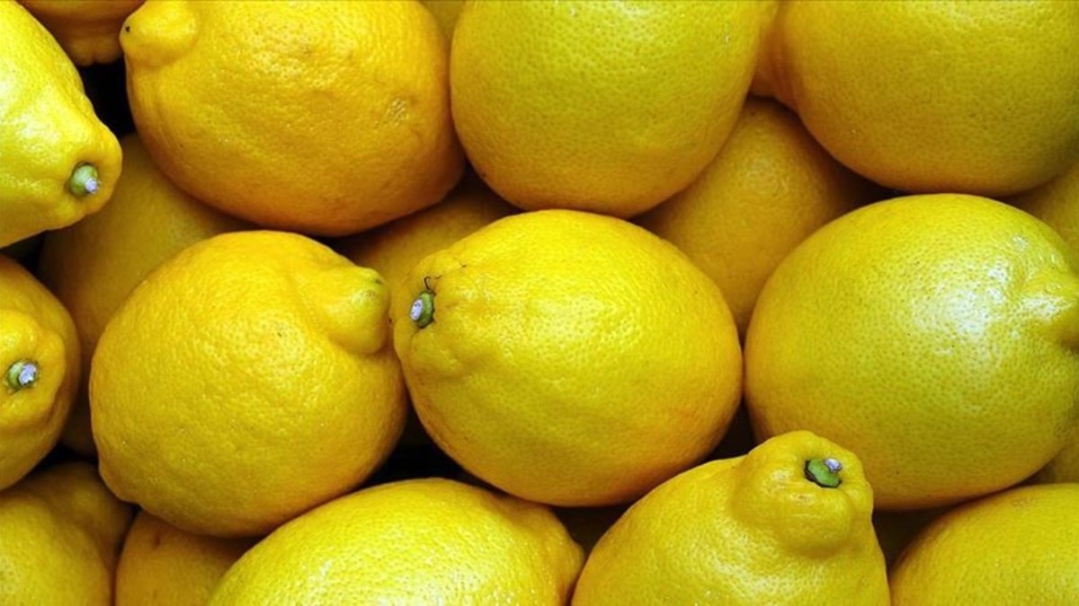 Limonda üretici ile market arasında yüzde 683'lük fiyat farkı