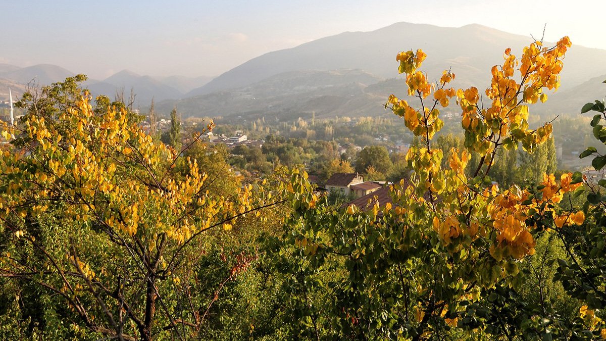 Malatya sarı sıcak