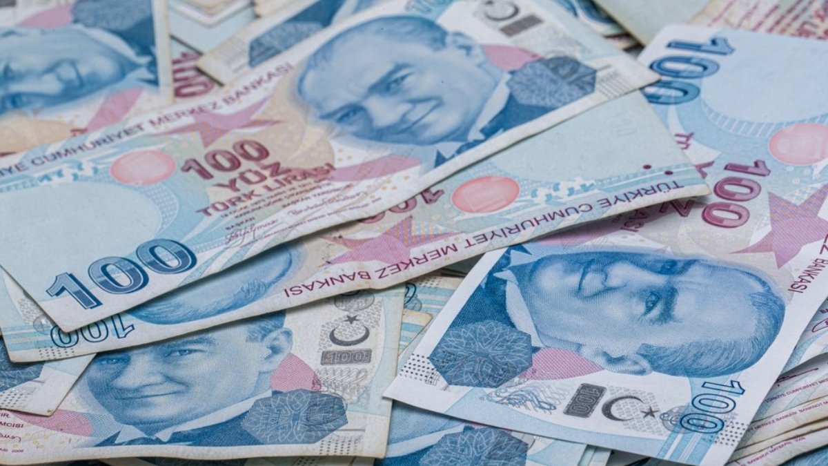 Hazine ve Maliye Bakanlığı 18,6 milyar lira borçlandı