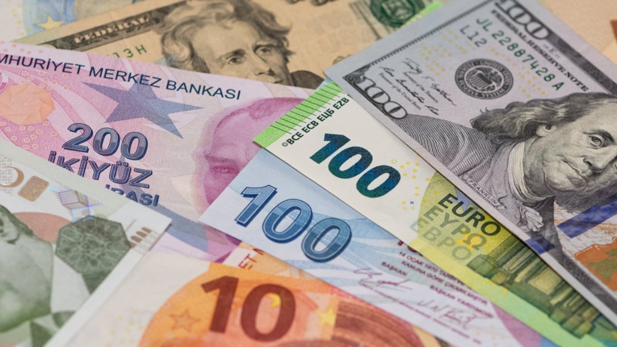 Dolar ve Euro rekor tazeledi