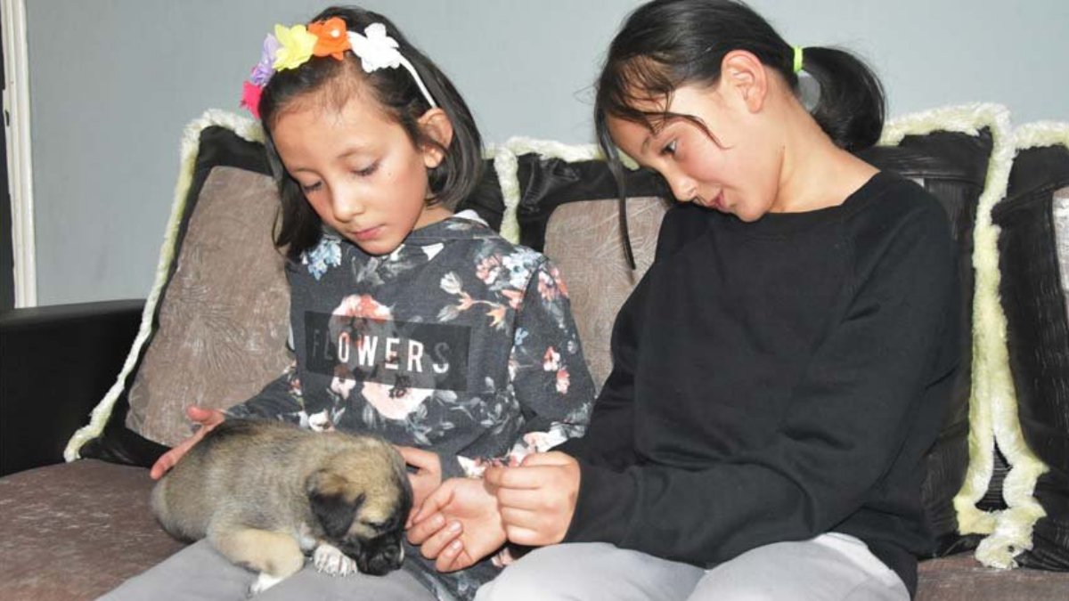 9 yaşındaki ikizler, iki haftalık yavru köpeğe sahip çıktı