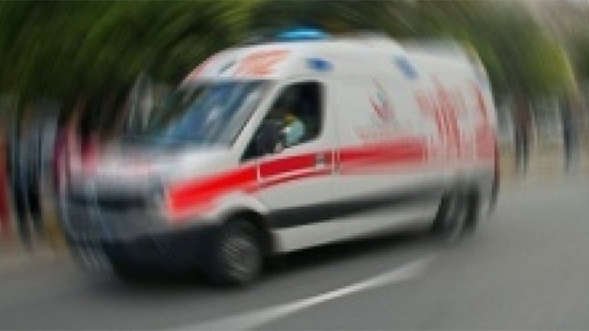 Ambulansın çarptığı 3 büyükbaş öldü