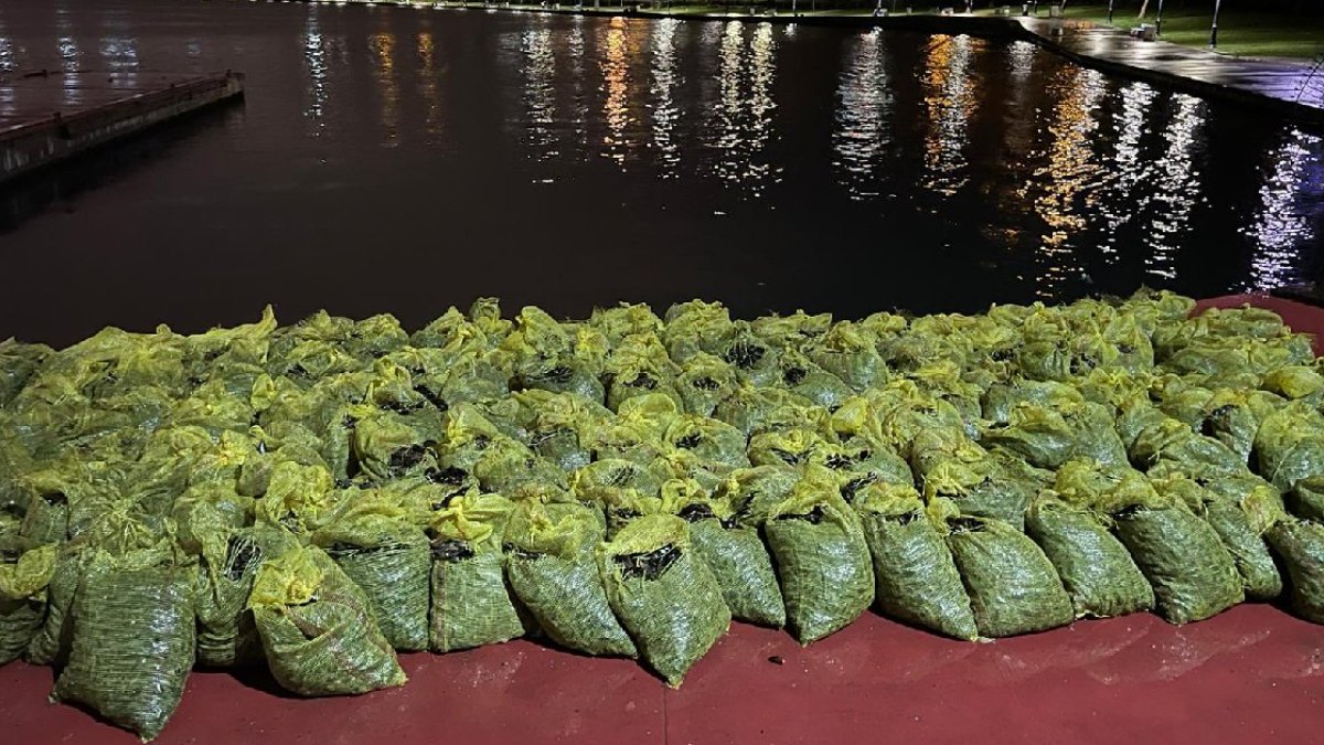 İstanbul'da 4 ton kaçak midye ele geçirildi, avcılara ceza yağdı