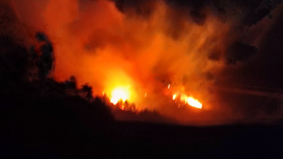 Trabzon'da orman yangını! Evler tahliye ediliyor