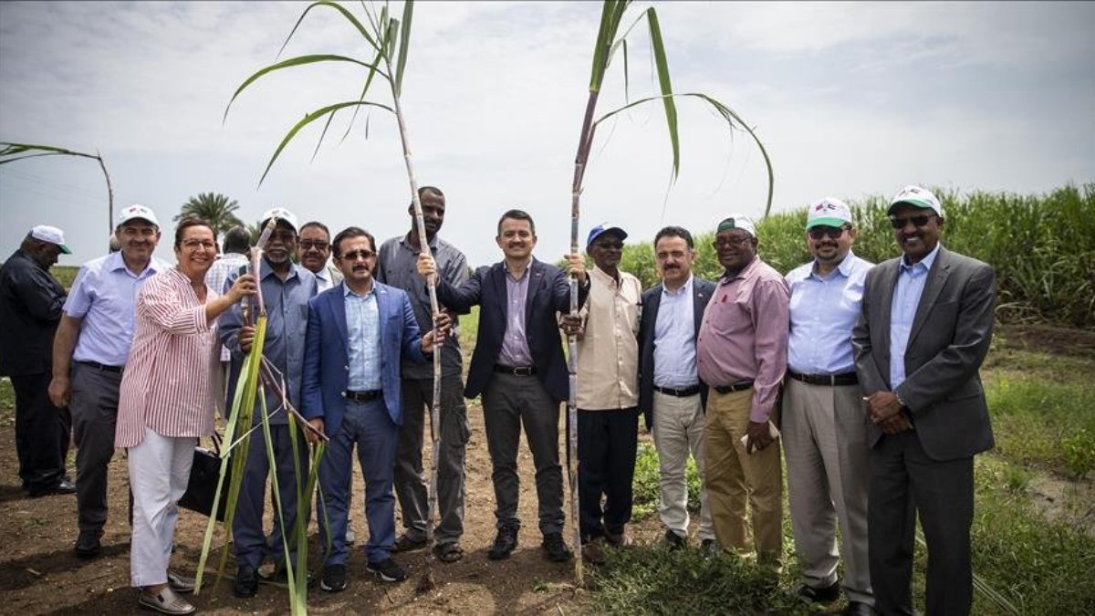 Türkiye'nin Sudan'daki tarım şirketi için tasfiye kararı